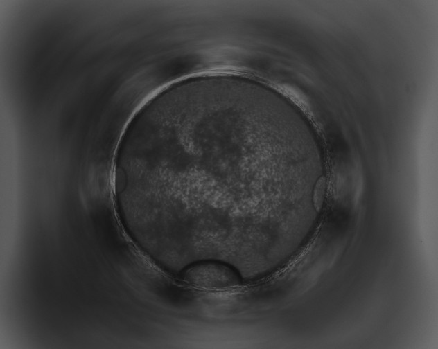 X0000095671420200801291128