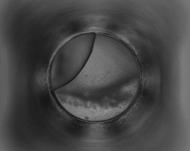 X0000095671421200801291128