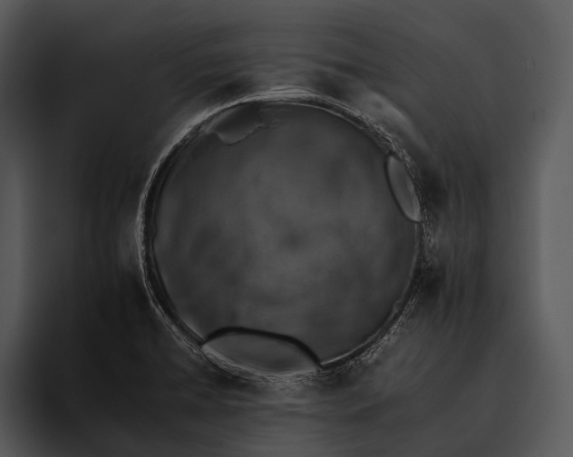 X0000095671422200801291128