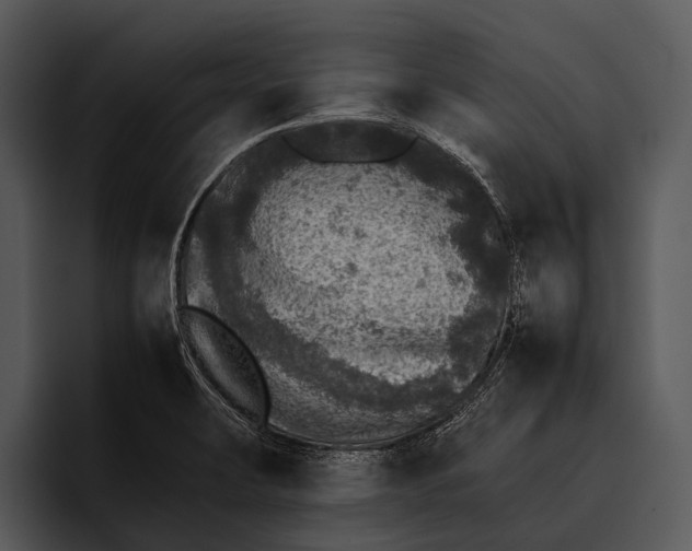 X0000095671423200801291128