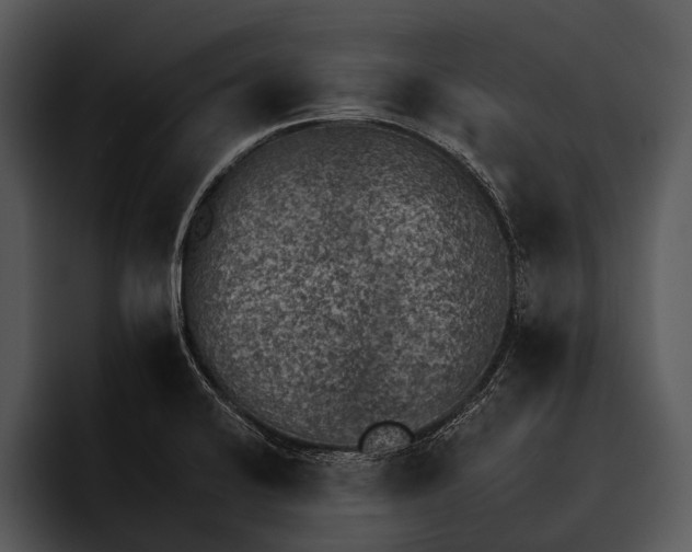 X0000095671424200801291128