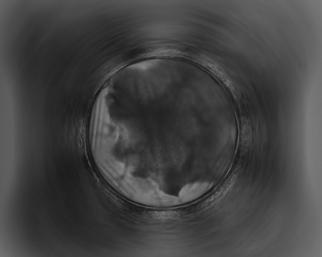 X0000095671425200801291128