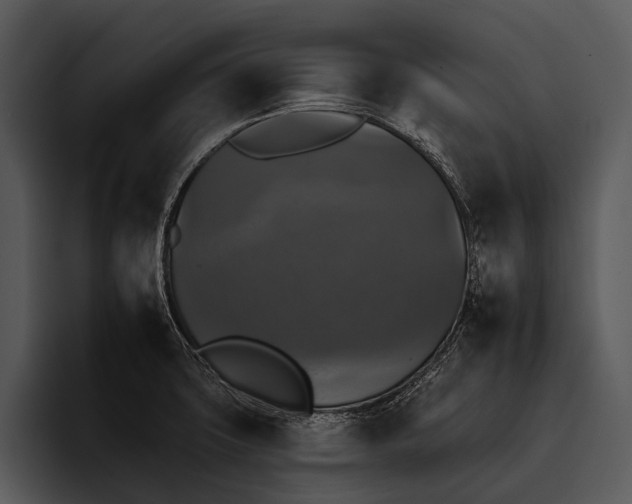 X0000095671427200801291128