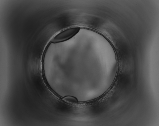 X0000095671428200801291128