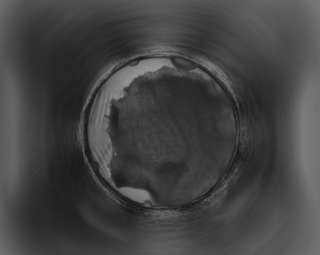 X0000095671429200801291128