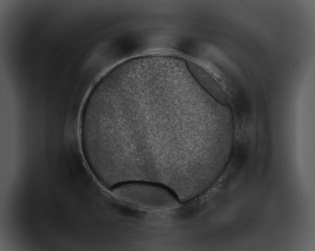 X0000095671430200801291128