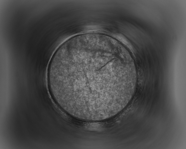 X0000095671431200801291128