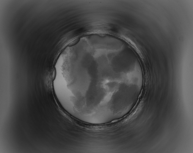 X0000095671433200801291128