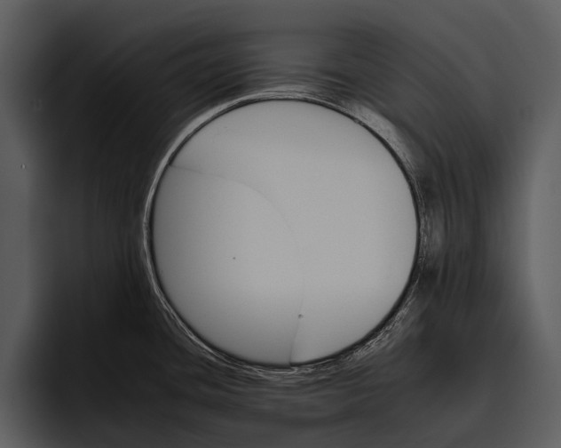 X0000095671436200801291128