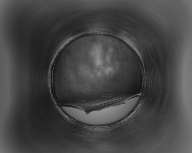 X0000095671437200801291128