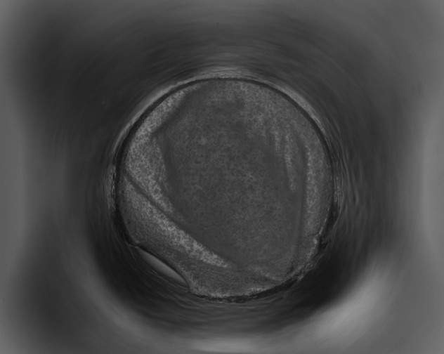 X0000095671438200801291128