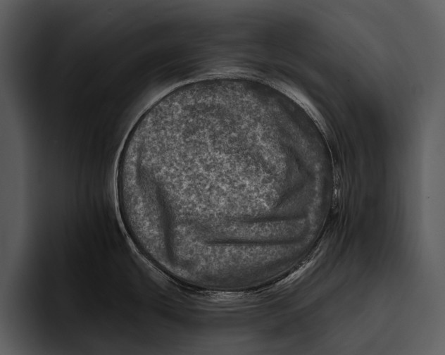 X0000095671439200801291128