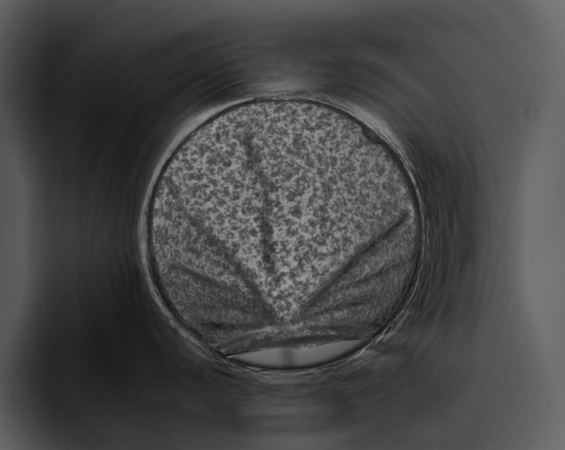 X0000095671440200801291128