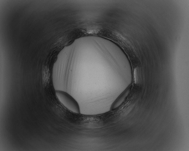 X0000095671443200801291127