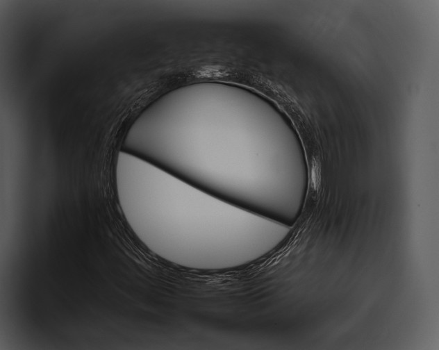 X0000095671444200801291127