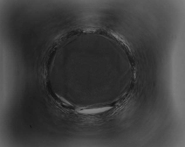 X0000095671445200801291127