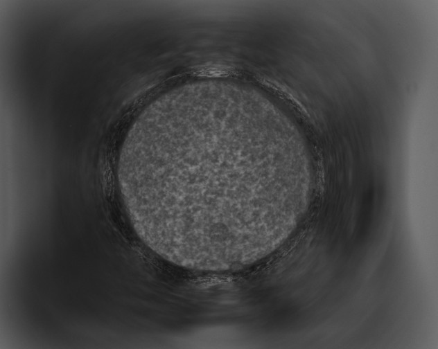 X0000095671446200801291127