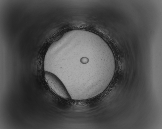 X0000095671447200801291127