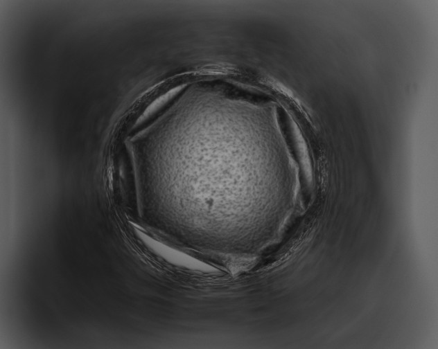 X0000095671448200801291127