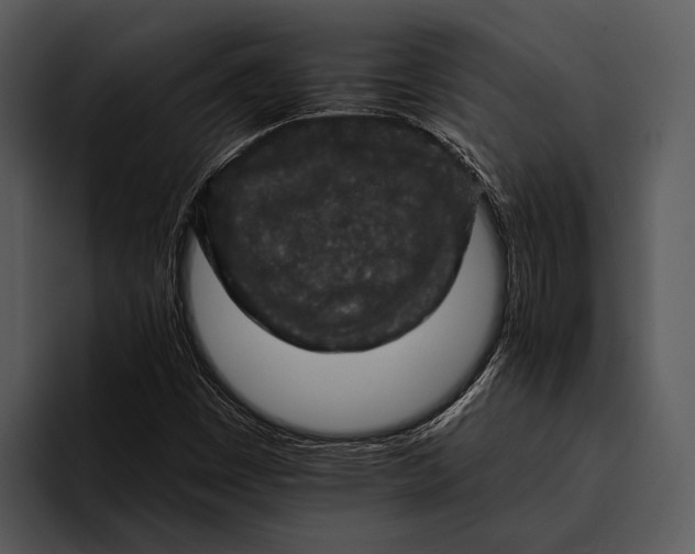 X0000095671449200801291127