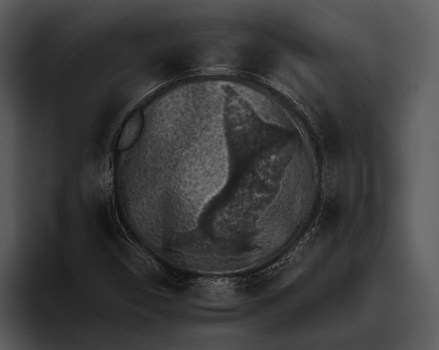 X0000095671450200801291127