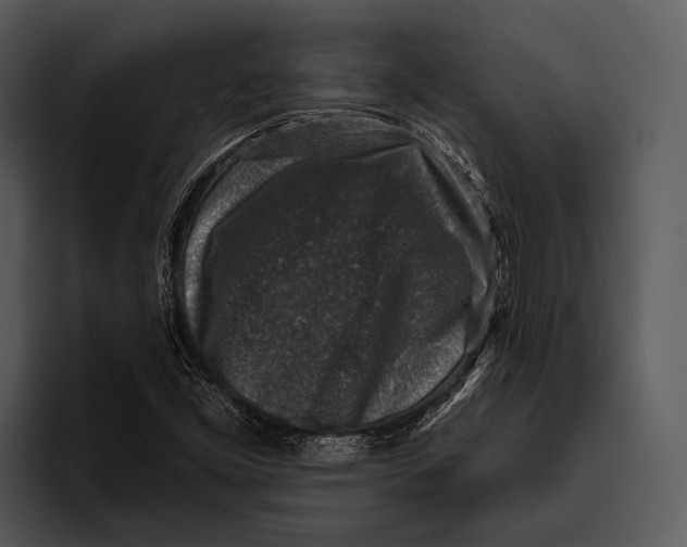 X0000095671453200801291127