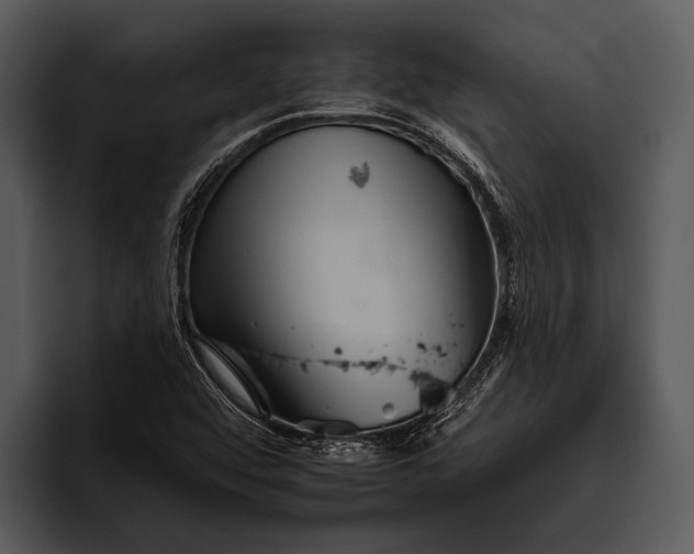 X0000095671456200801291127