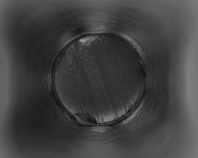 X0000095671457200801291127