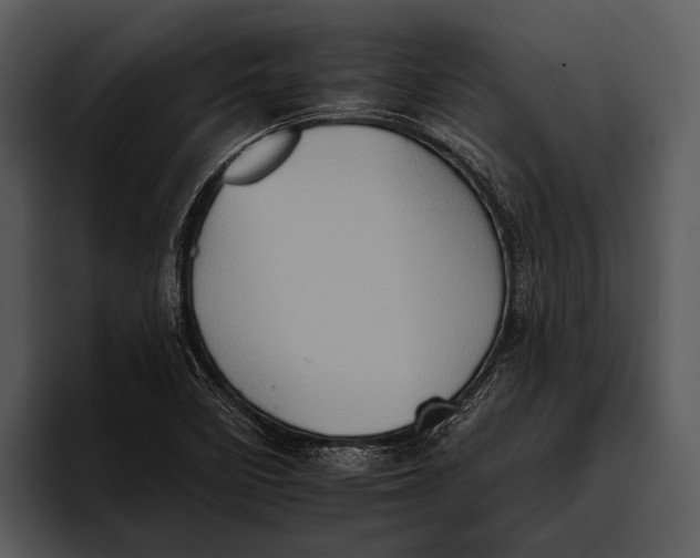 X0000095671458200801291127