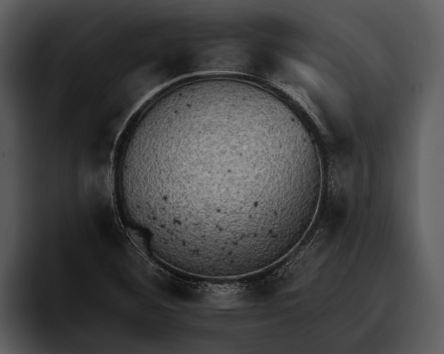 X0000095671460200801291127