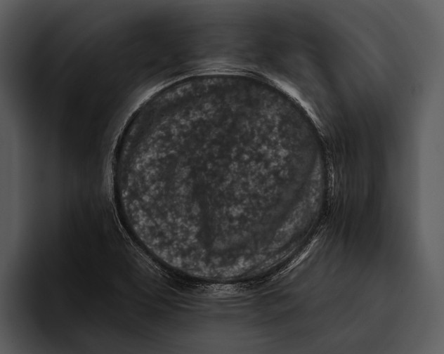 X0000095671463200801291127