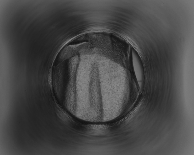 X0000095671465200801291127