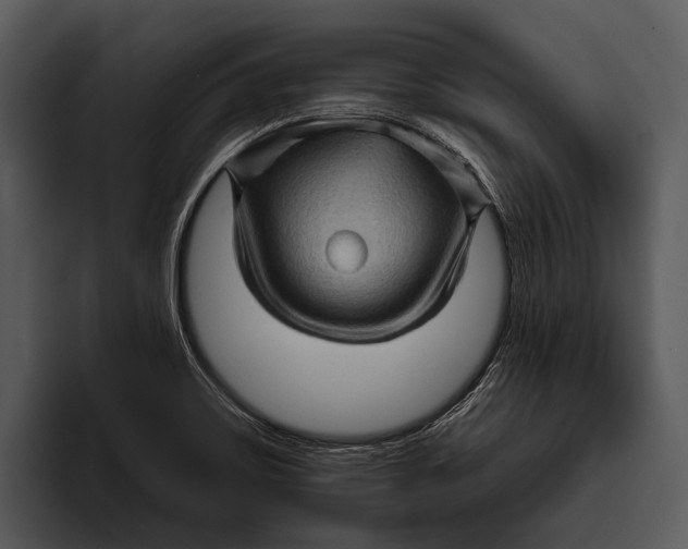 X0000095671467200801291127