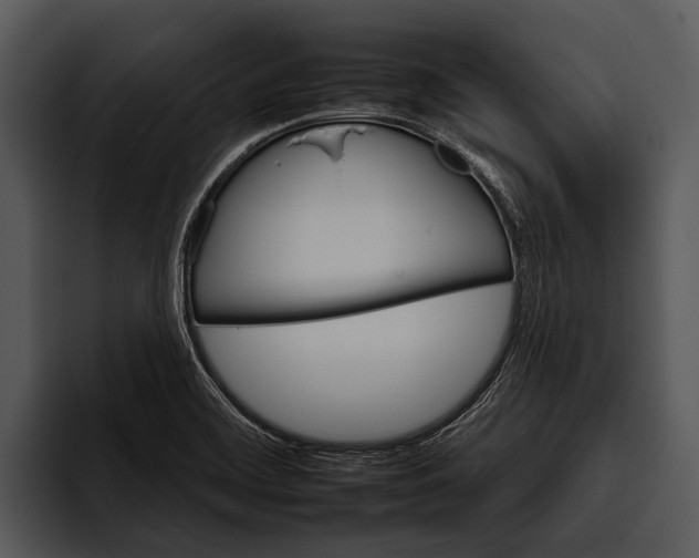 X0000095671468200801291127