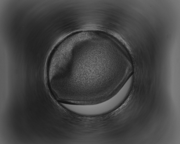 X0000095671469200801291127