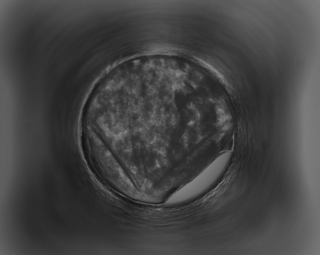 X0000095671471200801291127