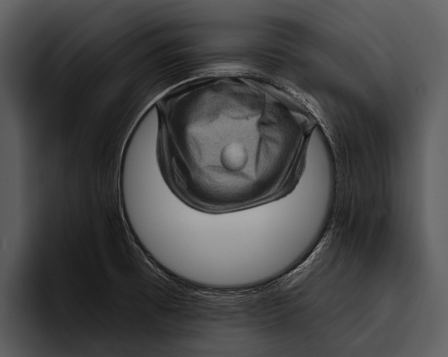 X0000095671473200801291127