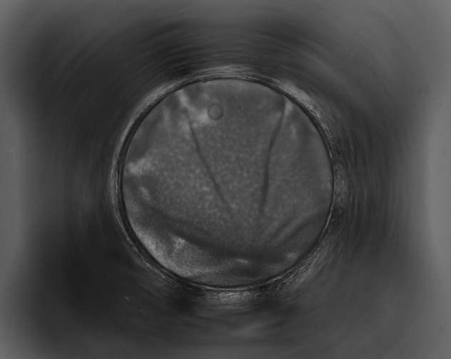 X0000095671474200801291127