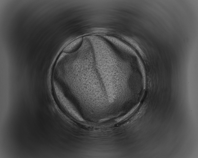 X0000095671475200801291127