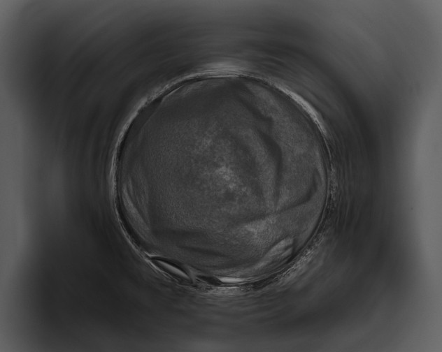 X0000095671477200801291127