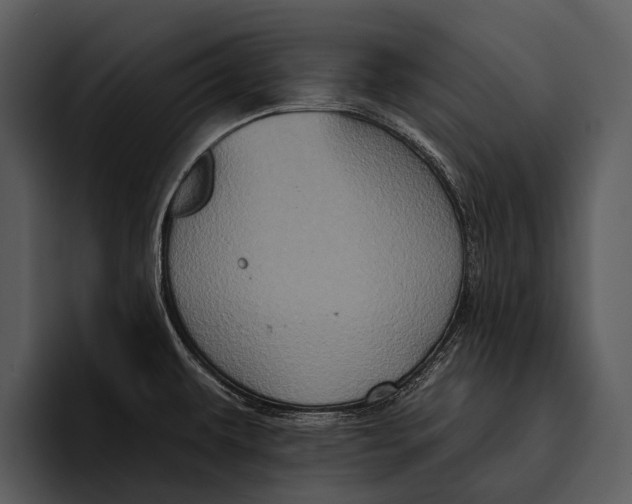 X0000095671479200801291127