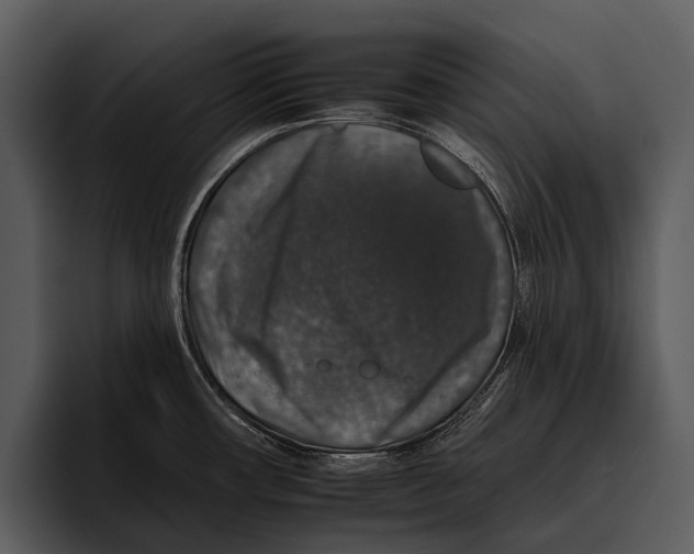 X0000095671482200801291127