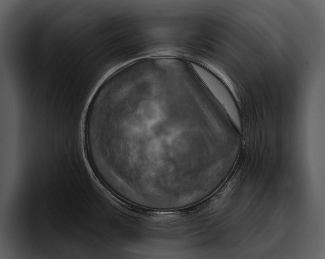 X0000095671483200801291127