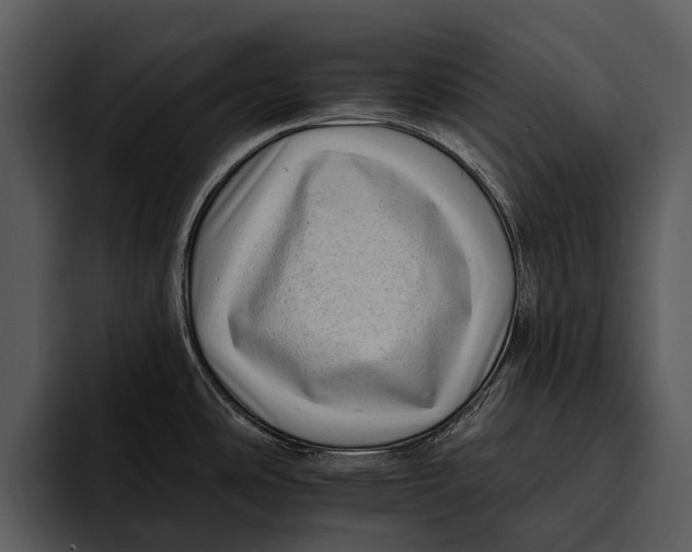 X0000095671486200801291127