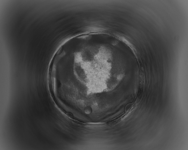 X0000095671487200801291127