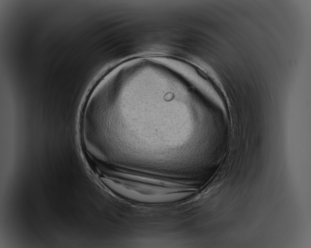 X0000095671488200801291127