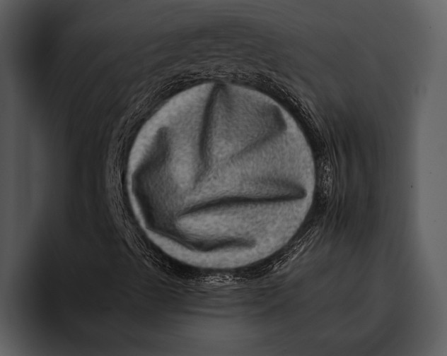 X0000095671489200801291126