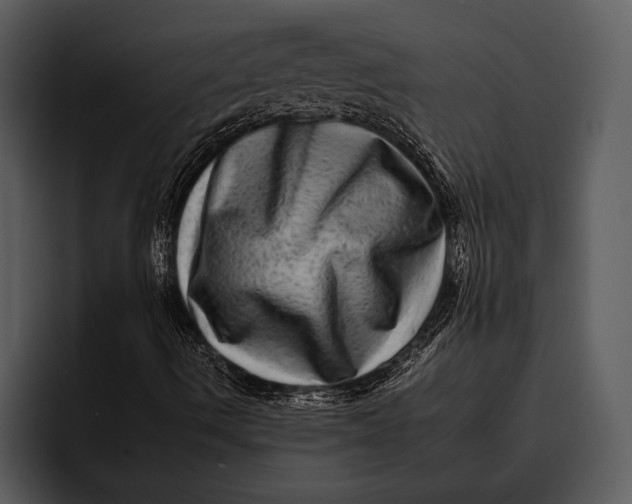 X0000095671490200801291126