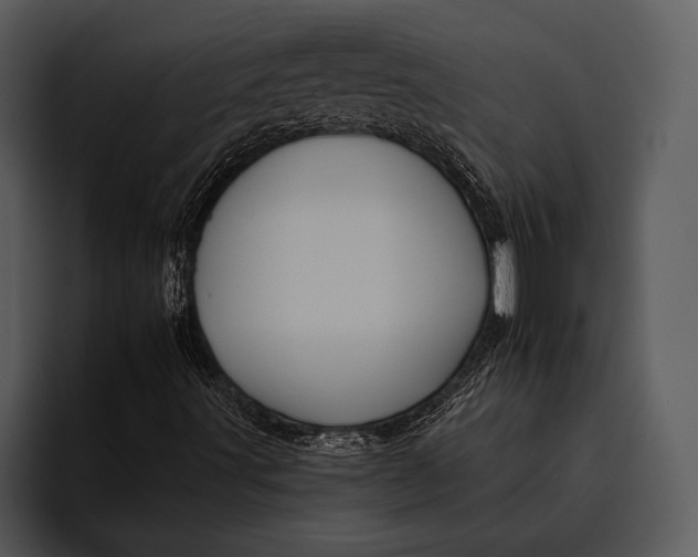 X0000095671491200801291126