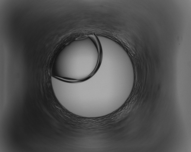 X0000095671492200801291126